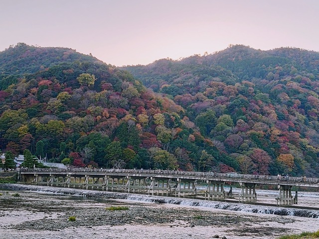 2021年11月19日嵐山1.JPG